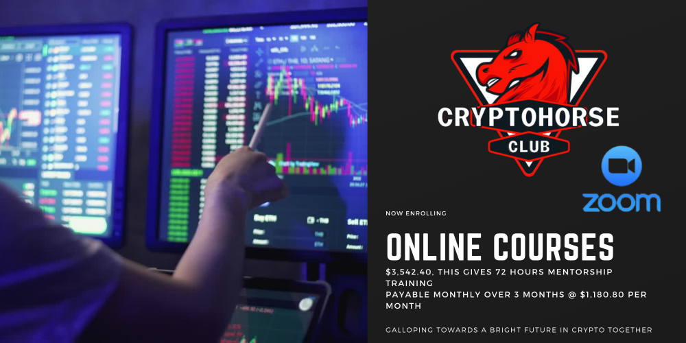 Online 12 Week Crypto Mentorship Course