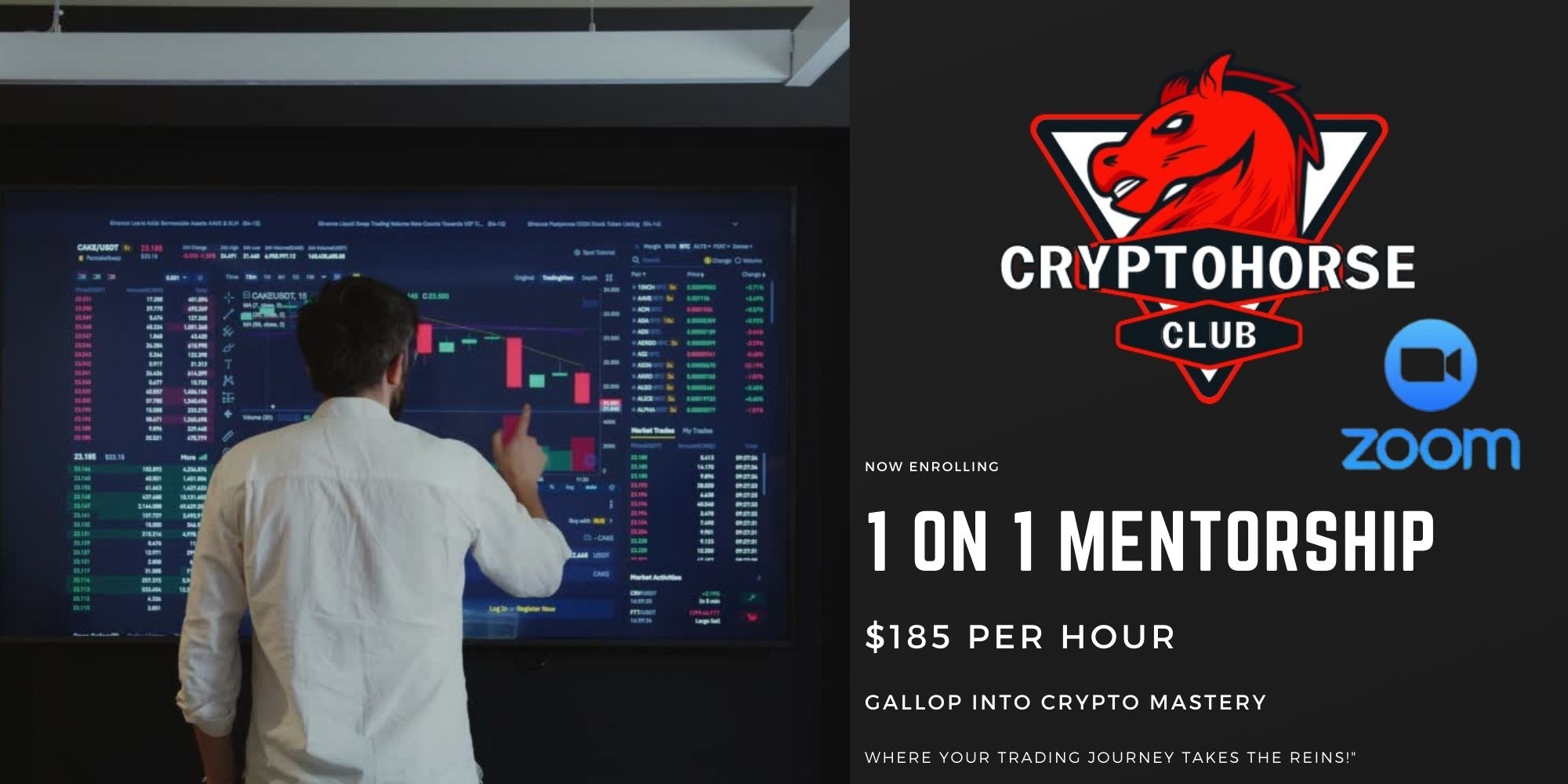 One on One 1 Mentorship with Horse 1 Hour